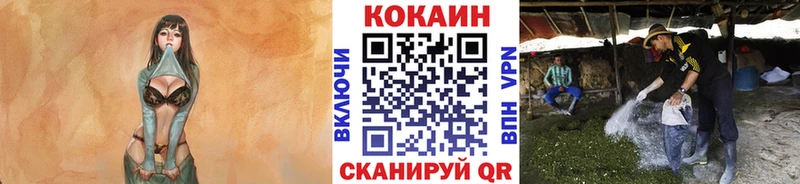 Кокаин Боливия  Барабинск 