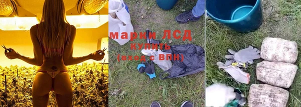 гашик Нягань