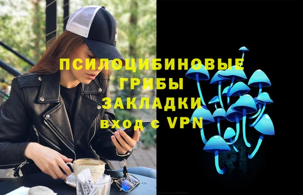 гашик Нягань