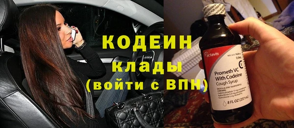 мяу мяу кристалл Няндома
