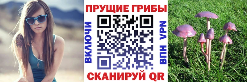 где купить ОМГ ОМГ как зайти Псилоцибиновые грибы мухоморы Барабинск