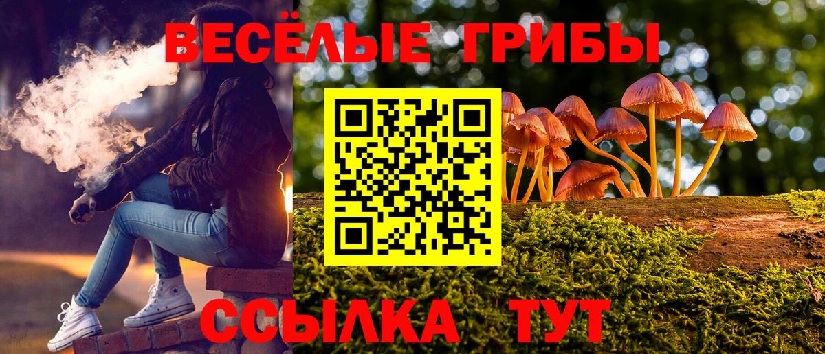 Псилоцибиновые грибы прущие грибы  Вход с VPN  Барабинск  Псилоцибиновые грибы MAGIC MUSHROOMS 