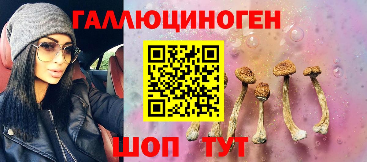 Галлюциногенные грибы мухоморы Барабинск