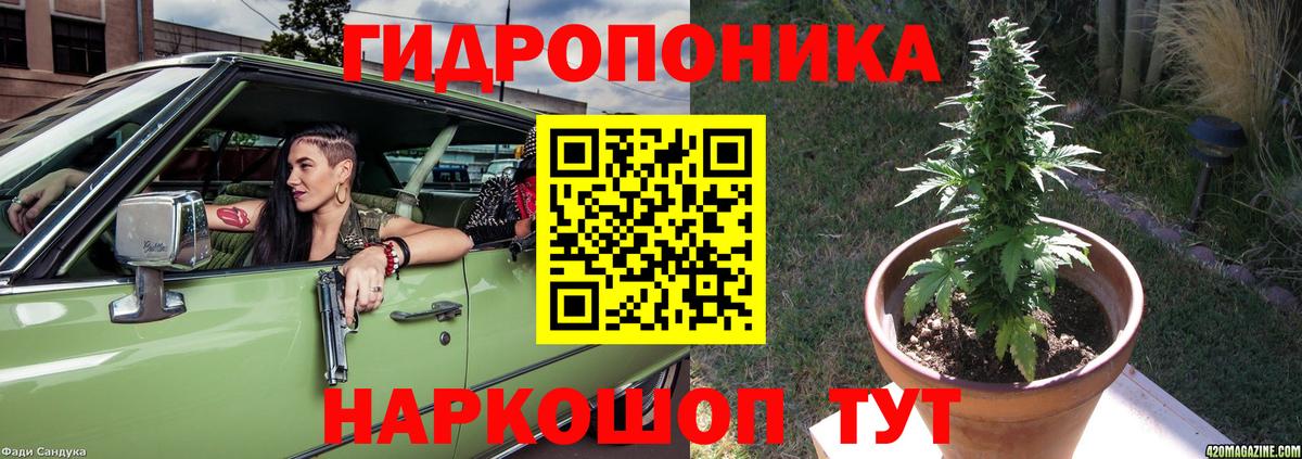 Бошки Шишки тримм Барабинск